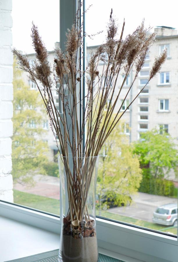 Neptune Ear, Family-Friendly, Modern, Fully-Equipped, Cozy Apartment Вентспилс Екстериор снимка